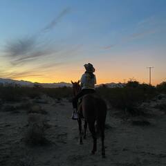 IN PICS | Ananya Panday Goes Horse-Riding In Las Vegas While Shooting For ‘Liger’