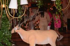 Anushka Rajan-Aditya Sangeet: सिल्वर शिमरी शॉर्टस पहनकर बेस्टी के संगीत में पहुंची आलिया भट्ट, देखिए फंक्शन शुरू होने से पहले कि ये तस्वीरें