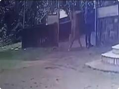 Kerala Acid Attack: केरल में महिला ने पुरुष पर तेजब से किया हमला, अस्पताल में भर्ती