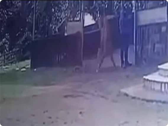 Kerala Acid Attack: केरल में महिला ने पुरुष पर तेजब से किया हमला, अस्पताल में भर्ती Kerala Acid Attack: केरल में महिला ने पुरुष पर तेजब से किया हमला, अस्पताल में भर्ती