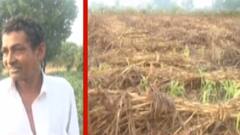 પાટણઃમાવઠાના કારણે ખેડૂતોને ભારે નુકસાન, વિવિધ પાક નિષ્ફળ; જુઓ ગુજરાતી ન્યૂઝ