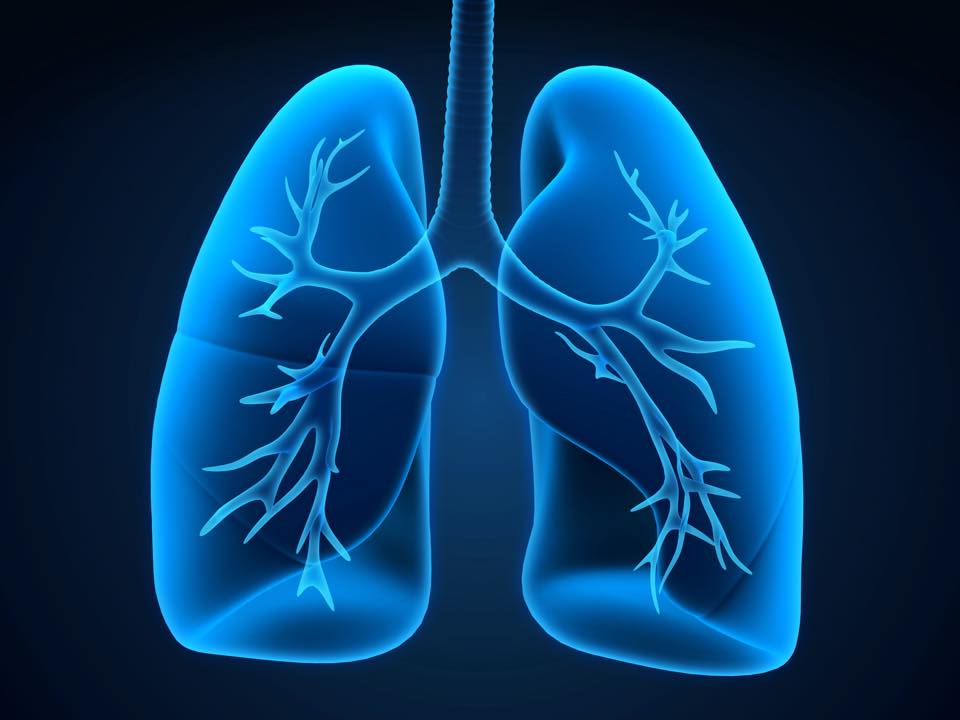 To Open or Close the Lungs – That Is the Question! - SCIREQ