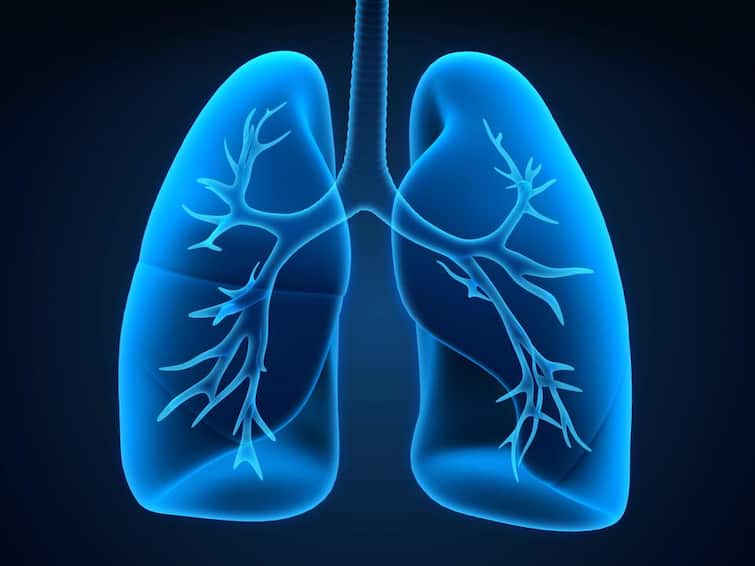 Home Remedies For Healthy Lungs Exercise And Healthy Habits For Lungs Lungs Health: फेफड़ों को स्वस्थ बनाते हैं ये घरेलू नुस्खे, नहीं होगी गले की परेशानी