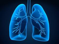 Lungs Health: फेफड़ों को स्वस्थ बनाते हैं ये घरेलू नुस्खे, नहीं होगी गले की परेशानी