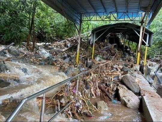 వేలాది మంది ఆశ్రయం కోల్పోగా.. పలు జిల్లాల్లో ఇళ్లల్లో వరద నీరు నిలిచిపోయింది.