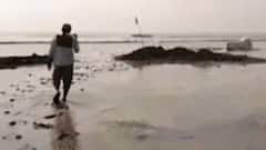 મોરબીઃ કમોસમી વરસાદથી ખેડૂતોની સાથે અગરિયાઓને પણ થયું ભારે નુકસાન, જુઓ ગુજરાતી ન્યૂઝ