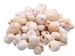 Good Health Care Tips: इस तरह से मखानों का करें सेवन, कंट्रोल मे रहेगा डायबिटीज का लेवल