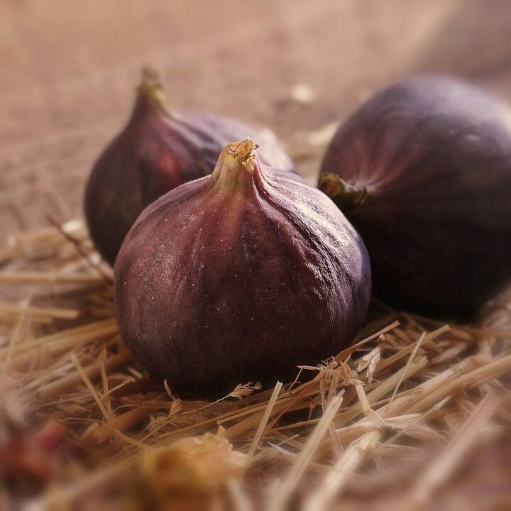 উচ্চ রক্তচাপ নিয়ন্ত্রণ করে
