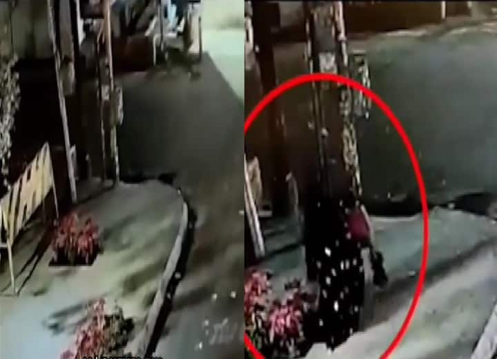 Viral Video of Thief two women thief stoles plants of road video went viral Viral Video: कार से निकलकर दो महिलाओं ने की ऐसी चोरी, वीडियो देखकर हंसी नहीं रोक पाएंगे आप