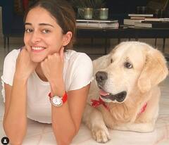 Ananya Panday Update: লাস ভেগাসে 'লাইগার'-র শ্যুটিং করতে গিয়ে কী করে বসলেন অনন্যা পাণ্ডে?