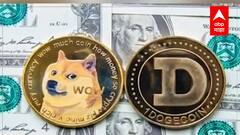 Cryptocurrency :आर्थिक जगतात केट कॉईनचा बोलबाला, 1हजाराची गुंतवणूक करणाऱ्यांना दरमहा 28हजाराचा फायदा