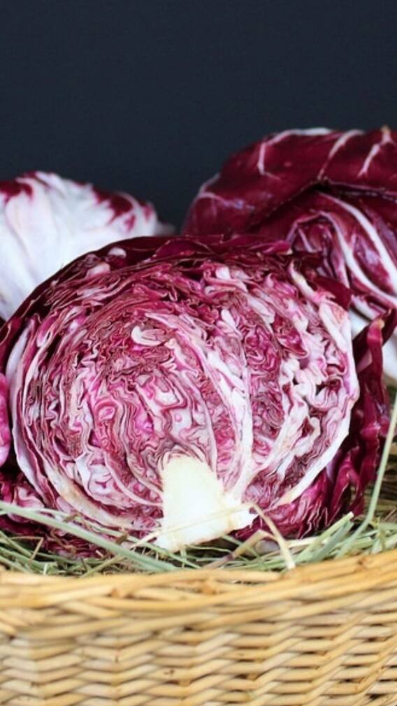 কেন খাবেন লাল বাঁধাকপি?