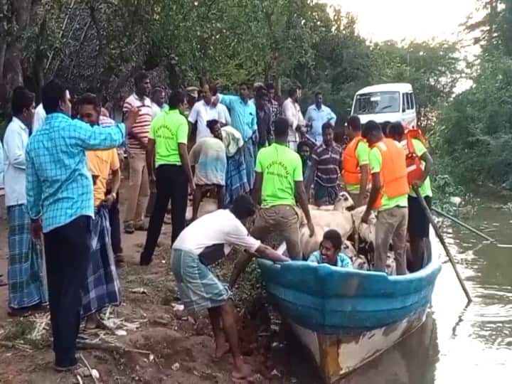 மயிலாடுதுறை: கொள்ளிடம் ஆற்றின் திட்டில் சிக்கிய 150 ஆடுகள் உட்பட 2 பேர் பத்திரமாக மீட்பு