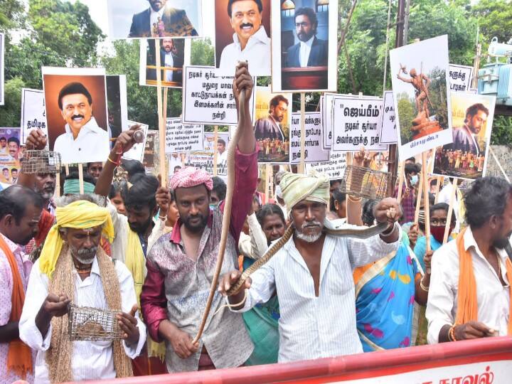 Madurai: Fight with snakes in support of actor Surya - Police case against 51 tribals நடிகர் சூர்யாவுக்கு ஆதரவாக பாம்புகளுடன் போராட்டம் - 51 பழங்குடியினர் மீது காவல்துறை வழக்குப்பதிவு