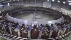 जब MSP जैसे कानून की वजह से मुश्किल में पड़ गया था अमेरिका, देखिए ये खास रिपोर्ट