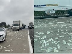 Viral Video: हाईवे पर गिर गया नोटों से भरा बैग, पैसे लूटने की लग गई होड़!