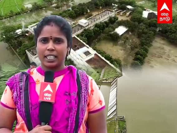 Dharmapurai Rain: ஆக்கிரமிக்கப்பட்ட கால்வாய்கள்!வெள்ளத்தால் சூழப்பட்ட வீடுகள்!