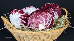 Red Cabbage Benefit: লাল বাঁধাকপি স্বাস্থ্যের জন্য উপকারী নাকি ক্ষতিকর?