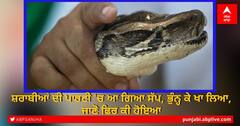 Shocking News: ਸ਼ਰਾਬੀਆਂ ਦੀ ਪਾਰਟੀ 'ਚ ਆ ਗਿਆ ਸੱਪ, ਭੁੰਨ੍ਹ ਕੇ ਖਾ ਲਿਆ, ਜਾਣੋ ਫਿਰ ਕੀ ਹੋਇਆ