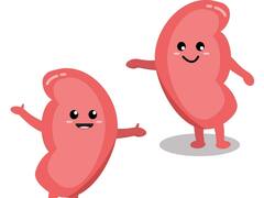 Kidney Health: పెయిన్ కిల్లర్స్ ఎక్కువ వాడుతున్నారా... కిడ్నీలు దెబ్బతినొచ్చు జాగ్రత్త