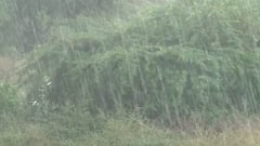 Washim: जिल्ह्यात जोरदार अवकाळी पावसाची हजेरी, बळीराजाच्या संकटात पुन्हा वाढ