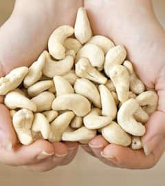 Dry Fruits For Health: काजू खाने से मिलते हैं कमाल के फायदे, कैल्शियम और जिंक के साथ मैग्नीशियम की कमी होगी पूरी