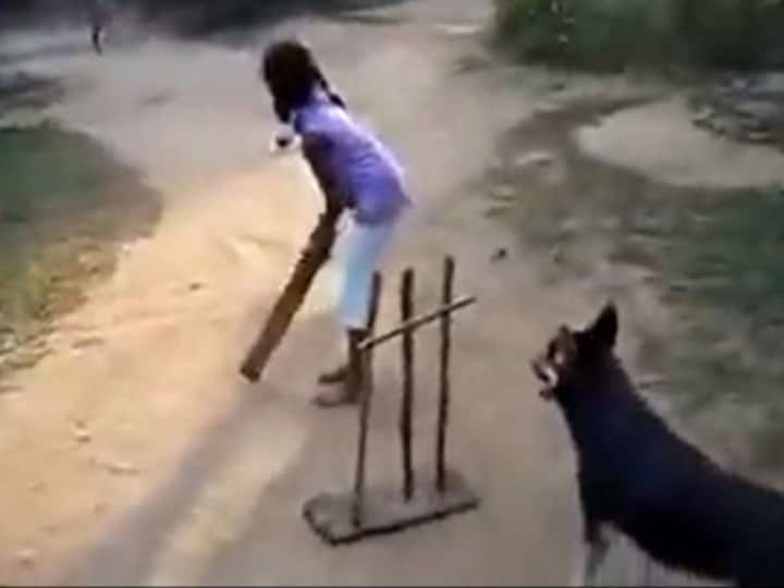 Sachin Tendulkar Posts Viral Video Of Dog Playing Cricket With Two Kids Sachin Tendulkar Posts Viral Video Of Dog Playing Cricket With Two Kids