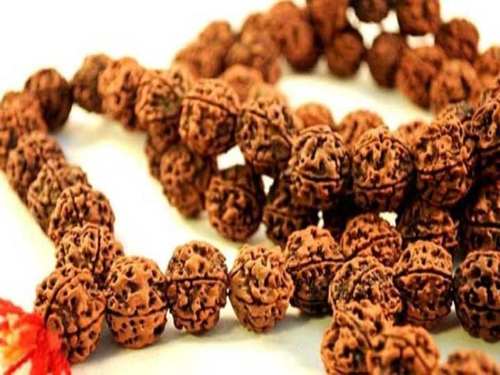 rudraksha wearing benefits know who should not wear rudraksha can make trouble रुद्राक्ष धारण करने से पहले जान लें जरूरी नियम, ये लोग भूलकर भी न पहने, आ सकती हैं परेशानियां