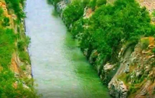 Khammam: ఖమ్మం జిల్లాలో అద్భుత దృశ్యం.. ఎత్తైన చెట్లతో భూతల స్వర్గం ఆ కాలువ