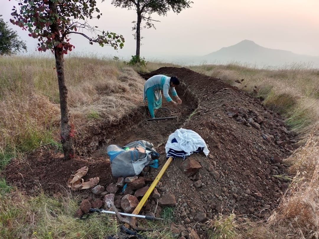 Pune Ex serviceman tries to conserve nature and wildlife with the help of his wife Pune : माजी सैनिकाने पत्नीच्या मदतीने निसर्ग आणि वन्यजीव संवर्धनासाठी केले प्रयत्न