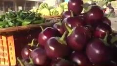 Soaring prices of vegetable adds another layer of pain for consumer | Ghanti Bajao