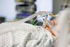 Two Patients Die Of Aspergillus Lentulus, New Drug-Resistant Fungus Strain, At AIIMS: Report