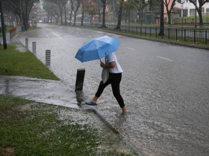 Tamil Nadu Weather Forecast Heavy Rain chances from tomorrow december 31 for 2 days- chennai meteorological department TN Weather Update: ரெடி... ரெடி... குடையை எடுத்துக்கோங்க... தமிழ்நாட்டில் நாளை முதல் கனமழை: வானிலை மையம் எச்சரிக்கை!