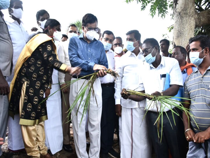 ’’புரோக்கர்கள் போல் செயல்படும் வேளாண் அதிகாரிகள்’’ - மத்திய குழுவிடம் விவசாயிகள் ஹிந்தியில் குமுறல்