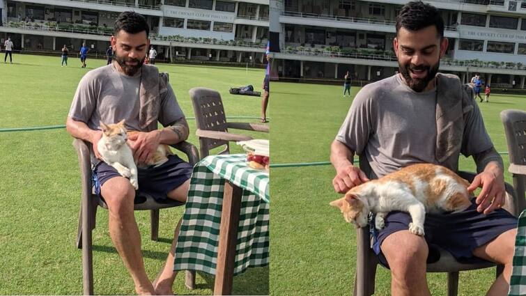 Ind vs Nz: Virat Kohli Visited by a Cool Cat During Practice Session Virat Kohli: জীবে প্রেম...কোহলির নতুন রূপ ভাইরাল সোশ্যাল মিডিয়ায়