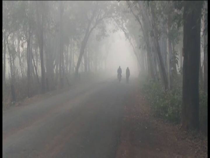 আলিপুর আবহাওয়া দফতর সূত্রে খবর, আজ কলকাতার সর্বনিম্ন তাপমাত্রা ২৩ দশমিক ১ ডিগ্রি সেলসিয়াস