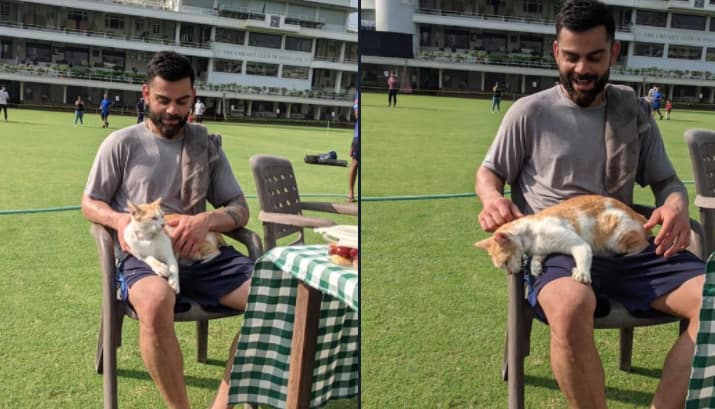 Ind vs Nz, 1st Test: Virat Kohli Visited by a Cool Cat During Practice Session Ind vs Nz, 1st Test: பூனையுடன் கோலி பகிர்ந்த க்யூட் புகைப்படங்கள், ”ஹலோ” சொன்ன அனுஷ்கா!