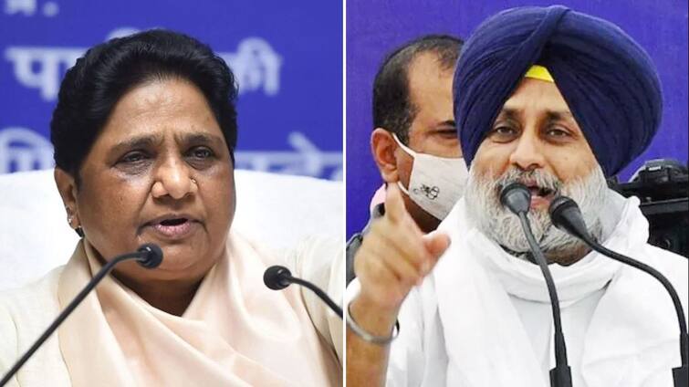 Punjab Election 2022: BSP and Akali Dal will hold a joint rally in Moga today Punjab Election 2022: ਮੋਗਾ 'ਚ ਅੱਜ BSP ਤੇ ਅਕਾਲੀ ਦਲ ਕਰਨਗੇ ਸਾਂਝੀ ਰੈਲੀ, ਜਾਣੋ ਕੌਣ ਕਰੇਗਾ ਰੈਲੀ ਨੂੰ ਸੰਬੋਧਨ?