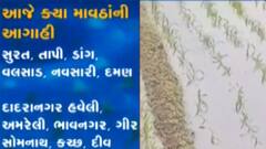 રાજ્યના ખેડૂતો માટે માવઠાના માઠા સમાચાર, કમૌસમી વરસાદની આગાહી, જુઓ ગુજરાતી ન્યુઝ