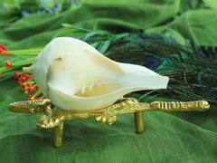 Shankh Puja: मार्गशीर्ष माह में शंख की पूजा का है विशेष महत्व, जानें धन प्राप्ति के लिए शंख के ये उपाय