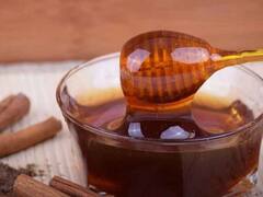 Madhu Gaon: उत्तराखंड में बनेंगे 13 मधु ग्राम, जानिए स्वरोजगार से जुड़ी सरकार की अहम योजना