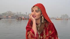 Arshi Khan Hospitalised: গাড়ি দুর্ঘটনার কবলে 'বিগ বস' খ্যাত আরশি খান