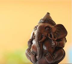 Vastu Tips: ঘরে রাখুন এই জিনিসগুলো, অর্থাভাব কাটিয়ে বিপুল সম্পদের অধিকারী হতে পারেন আপনি