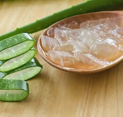 Aloe Vera Gel: ব্রণর সমস্যা থেকে ওজন কমানো, ফিটনেসে হিট অ্যালোভেরা