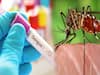Dengue Cases In Delhi Break 5-Year Record, 5600 Cases Recorded In November
