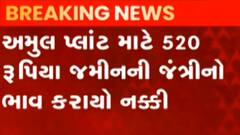 રાજકોટ:ગઢકા ગામે સ્થાપવામાં આવશે અમૂલનો સૌથી મોટો પ્લાન્ટ, જુઓ ગુજરાતી ન્યુઝ