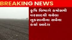 રાજ્યમાં કમોસમી વરસાદથી ખેડૂતોને થયેલા નુકસાન અંગે કૃષિ વિભાગે શું આપ્યા આદેશ?