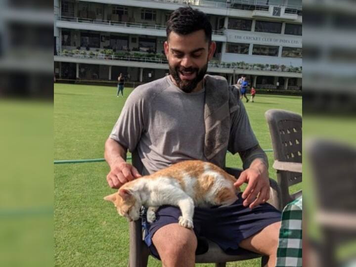 Virat Kohli Post: विराट कोहली ने पत्नी अनुष्का शर्मा को कह दिया 'बिल्ली', यूजर्स ले रहे मजे Virat Kohli Billi remark on Anushka's comment on Insta Post Virat Kohli Post: विराट कोहली ने पत्नी अनुष्का शर्मा को कह दिया 'बिल्ली', यूजर्स ले रहे मजे