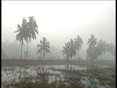 Kolkata Weather Update : এক লাফে তাপমাত্রা বাড়ল ২ ডিগ্রি, শীতের আগমন কি পিছলো?