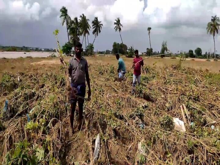 The Tenpennai River, which fills river sand on tens of thousands of acres of farmland in Cuddalore கடலூரில் பல்லாயிரம் ஏக்கர் விளைநிலங்களில் ஆற்று மணலை நிரப்பி சென்ற தென்பெண்ணை ஆறு